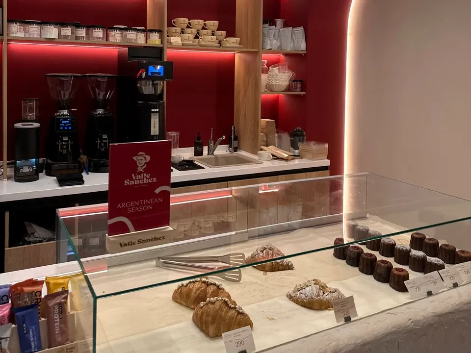 Франшиза Valle Sanchez